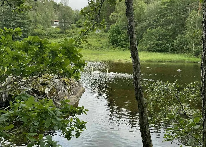 Traditional With Fjord Views In Ferienhaus Skjoldastraumen